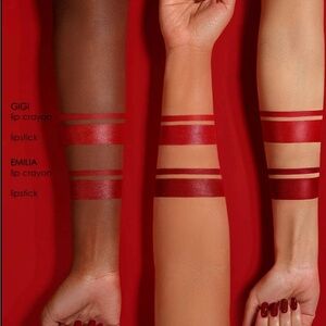 ✨ 2/$27- 3/$40 - 4/$50
 ✨Natasha Denona I need a rouge lip styletto in Emilia